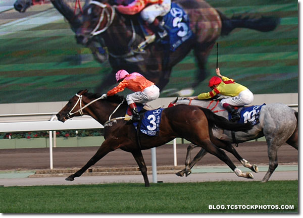 2008 Hong Kong Derby